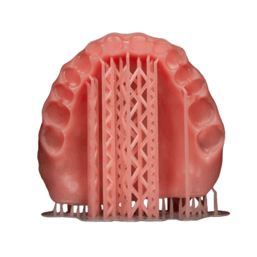 DTech Denture